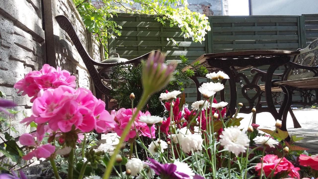 Apartamenty Krzywe Okna เจโลนากูรา ภายนอก รูปภาพ